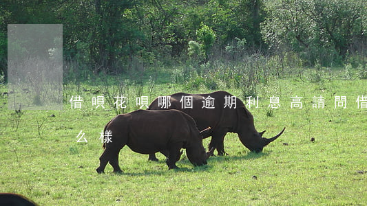 借唄花唄哪個逾期利息高(請問借唄逾期會怎么樣)