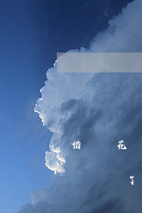 借唄花唄晚一天還款有什么影響-花唄借唄遲還了1天會影響征信嗎?