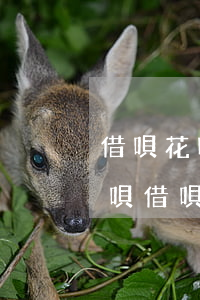 借唄花唄欠一萬(wàn)多逾期(支付寶花唄借唄都逾期了總欠款8萬(wàn)多)