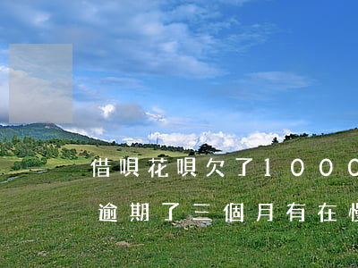 借唄花唄欠了1000(借唄花唄欠了3萬5逾期了三個月有在慢慢還)