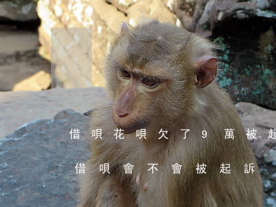 借唄花唄欠了9萬被起訴怎么辦(欠八千多元借唄會不會被起訴)