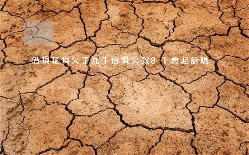 借唄花唄欠了九千(借唄欠款8千會起訴嗎)