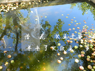 借唄花唄欠五千多會被起訴嗎(借唄花唄逾期半年了,欠款五萬多會起訴我嗎)