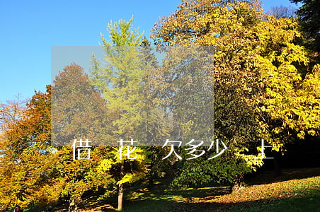 借唄花唄欠多少會上門