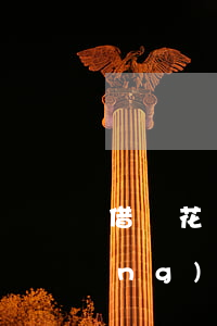 借唄花唄欠款12萬(wàn)已經(jīng)逾期
