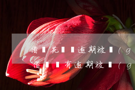 借唄花唄沒逾期被關(guān)了怎么還(借唄沒有逾期被關(guān)了)