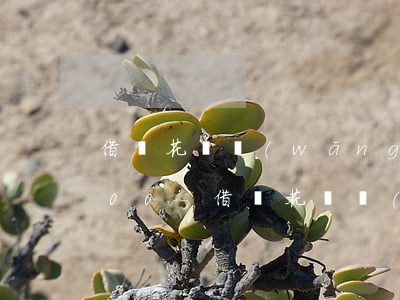 借唄花唄網(wǎng)商貸一共欠17000-借唄,花唄,網(wǎng)商貸加起來有11萬逾期了會(huì)怎樣?