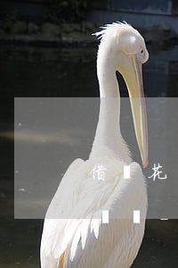 借唄花唄網(wǎng)商貸還不起會被起訴嗎-借唄花唄網(wǎng)商貸還不起會被起訴嗎怎么辦