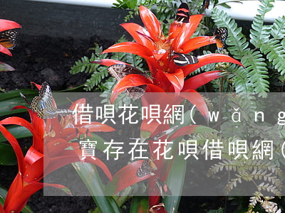借唄花唄網(wǎng)商貸都逾期了(支付寶存在花唄借唄網(wǎng)商貸等貸款逾期)
