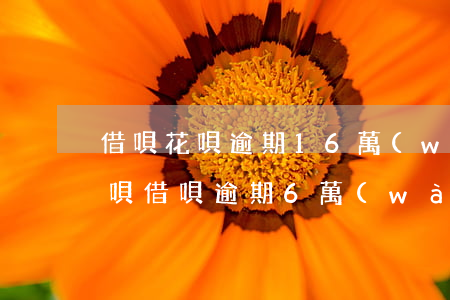 借唄花唄逾期16 萬(wàn)-支付寶花唄借唄逾期6萬(wàn)多最嚴(yán)重處理結(jié)果?