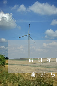 借唄花唄逾期1萬(wàn)起訴(花唄借唄逾期被起訴沒(méi)錢會(huì)被強(qiáng)制執(zhí)行嗎)
