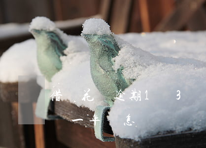 借唄花唄逾期1萬3兩年(支付寶借唄逾期2萬一年會怎樣)