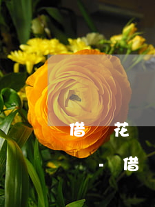 借唄花唄逾期20天會(huì)打通訊錄嗎-借唄花唄逾期20天會(huì)打通訊錄嗎怎么辦