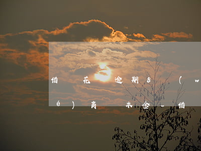 借唄花唄逾期8萬(wàn)怎么協(xié)商還本金-借唄花唄逾期8萬(wàn)怎么協(xié)商還本金的
