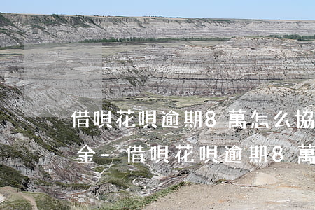 借唄花唄逾期8萬怎么協(xié)商還本金-借唄花唄逾期8萬怎么協(xié)商還本金的
