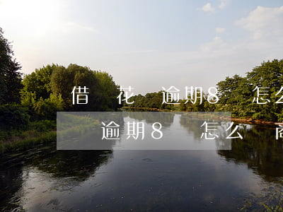 借唄花唄逾期8萬怎么協商還本金-借唄花唄逾期8萬怎么協商還本金的