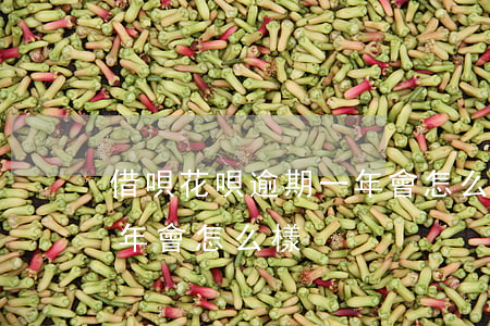 借唄花唄逾期一年會怎么樣(借唄花唄逾期半年會怎么樣)
