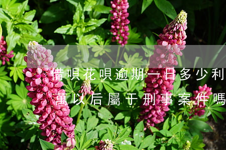 借唄花唄逾期一日多少利息 花唄借唄逾期1萬以后屬于刑事案件嗎