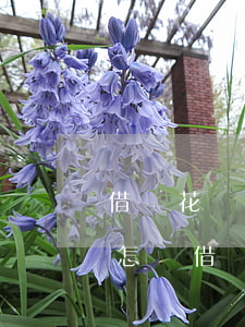 借唄花唄逾期七萬(wàn)會(huì)怎樣(借唄逾期7天會(huì)有什么后果?,有獎(jiǎng)問(wèn)答)