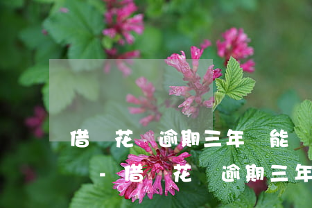 借唄花唄逾期三年還能協(xié)商延期嗎-借唄花唄逾期三年還能協(xié)商延期嗎怎么辦
