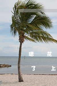 借唄花唄逾期上門核實(支付寶花唄借唄逾期了說上門走訪)