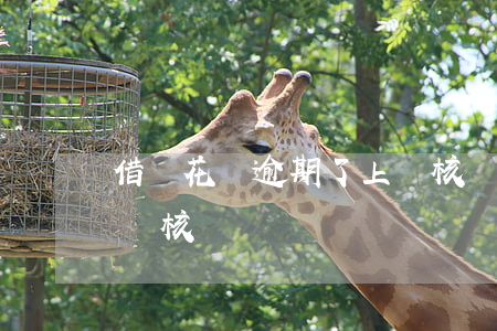 借唄花唄逾期了上門核實(借唄花唄逾期了上門核實)