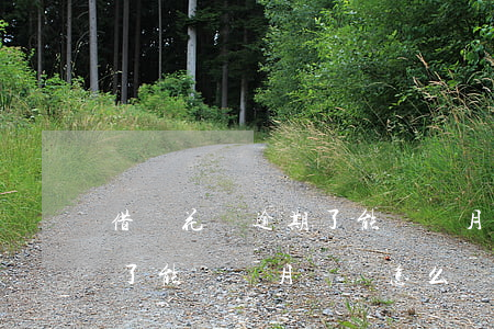 借唄花唄逾期了能過兩月還嗎 借唄花唄逾期了能過兩月還嗎怎么辦