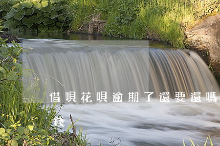 借唄花唄逾期了還要還嗎(借唄逾期了還能借錢?)