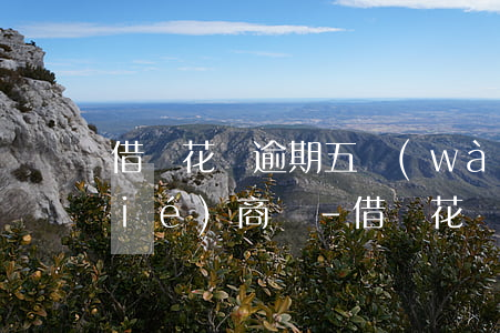 借唄花唄逾期五萬(wàn)多可以協(xié)商嗎-借唄花唄逾期五萬(wàn)多可以協(xié)商嗎還款嗎
