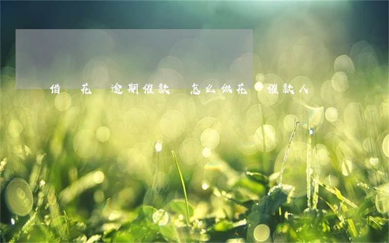 借唄花唄逾期催款員怎么做(花唄催款人員)