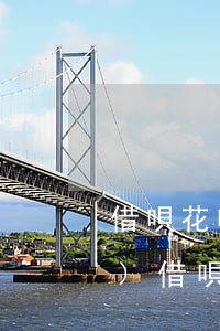 借唄花唄逾期優(yōu)先還哪個(gè)(借唄逾期每次還一點(diǎn)可以嗎)