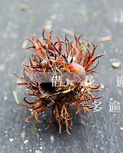 借唄花唄逾期兩個月說要起訴法院(花唄借唄兩萬多逾期三個月說要起訴)