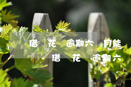 借唄花唄逾期六個月能協(xié)商還款嗎-借唄花唄逾期六個月能協(xié)商還款嗎怎么還