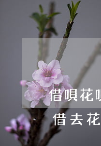 借唄花唄逾期半年了,欠款1萬多會起訴我嗎（借去花一萬多逾期多久會被起訴）