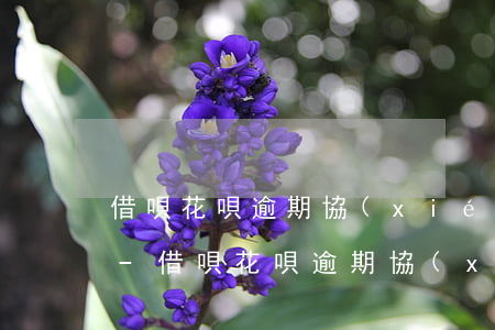 借唄花唄逾期協(xié)商失敗律師解答-借唄花唄逾期協(xié)商失敗律師解答是真的嗎