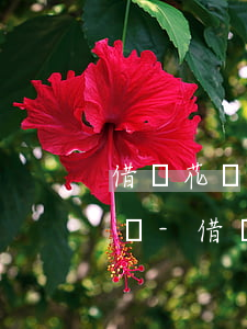 借唄花唄逾期協(xié)商延遲還款難辦嗎-借唄花唄逾期協(xié)商延遲還款難辦嗎怎么辦