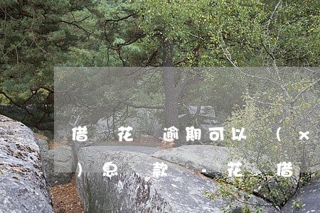 借唄花唄逾期可以協(xié)商無(wú)息還款嗎-花唄借唄能不能協(xié)商延期