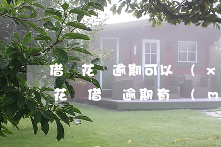 借唄花唄逾期可以協(xié)商還款嗎我(花唄借唄逾期有沒(méi)有協(xié)商還款成功的)