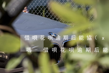 借唄花唄逾期后能協(xié)商再次分期嗎-借唄花唄逾期后能協(xié)商再次分期嗎