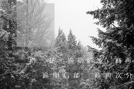 借唄花唄逾期后能協商再次分期嗎-借唄花唄逾期后能協商再次分期嗎