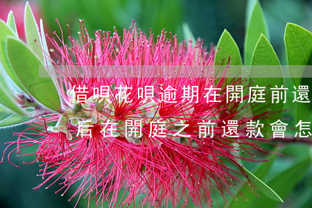 借唄花唄逾期在開庭前還款(花唄欠款被起訴后在開庭之前還款會怎樣)