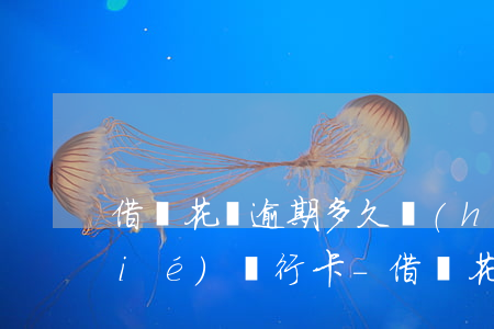 借唄花唄逾期多久會(huì)被凍結(jié)銀行卡-借唄花唄逾期多久會(huì)被凍結(jié)銀行卡呢