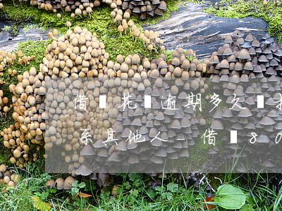 借唄花唄逾期多久會打電話聯(lián)系其他人-借唄80000逾期2年親身經(jīng)歷