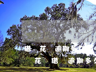 借唄花唄逾期多久會發(fā)律師函(支付寶花唄借唄逾期多久會發(fā)律師函)