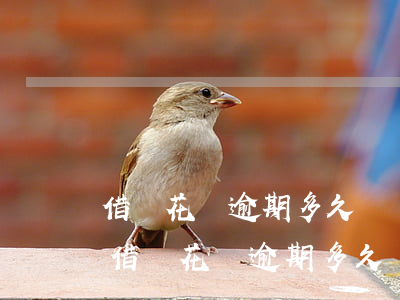 借唄花唄逾期多久會發(fā)生什么事-借唄花唄逾期多久會發(fā)生什么事兒