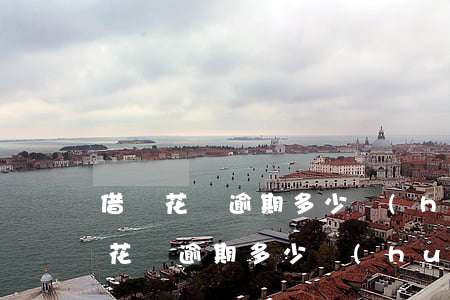 借唄花唄逾期多少會(huì)被起訴 借唄花唄逾期多少會(huì)被起訴
