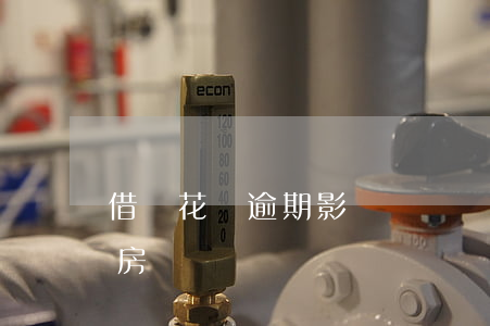 借唄花唄逾期影響車貸嗎(借唄逾期影響車貸房貸)