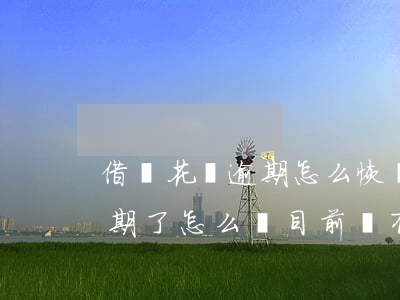 借唄花唄逾期怎么恢復(fù)(花唄借唄逾期了怎么辦目前沒有還款能力)