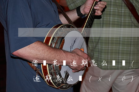 借唄花唄逾期怎么樣協(xié)商（花唄貸逾期怎么協(xié)商）