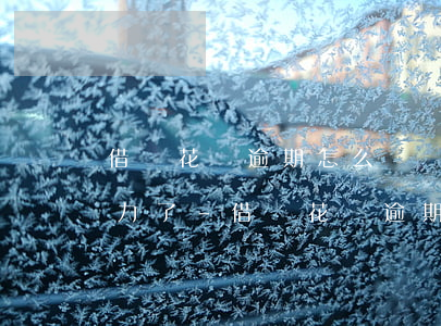 借唄花唄逾期怎么辦沒(méi)有償還能力了-借唄花唄逾期怎么辦沒(méi)有償還能力了嗎